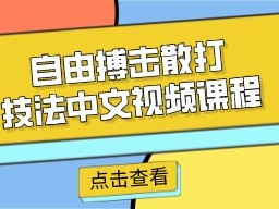 自由搏击散打技法中文视频课程